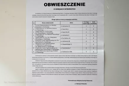 wybory do modzieowej rady miasta-2