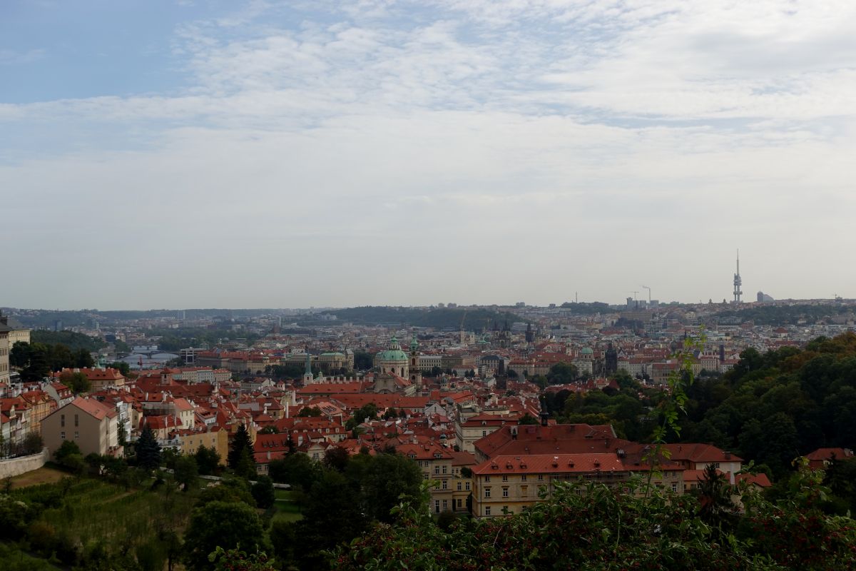 dsc01967