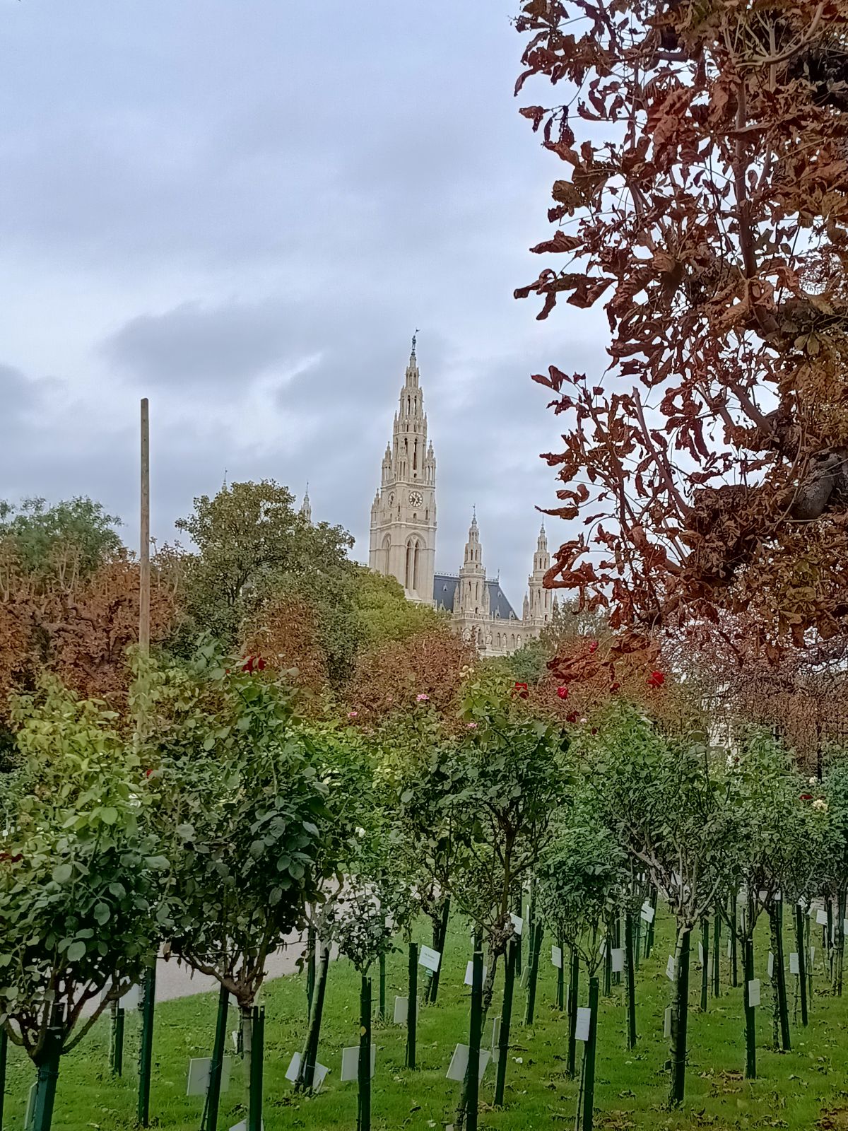 img_20241002_103355106_hdr