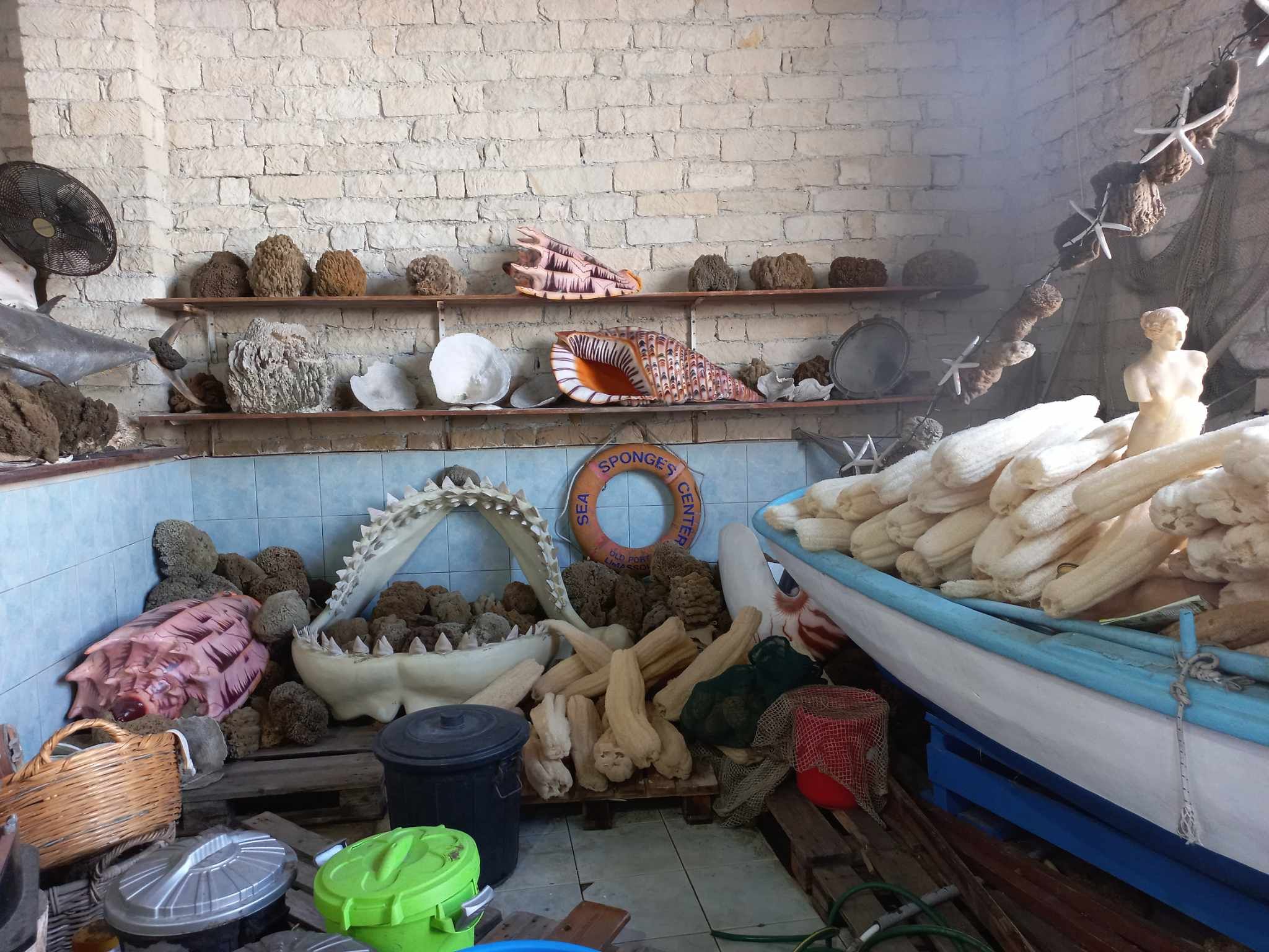 received_618394254589854