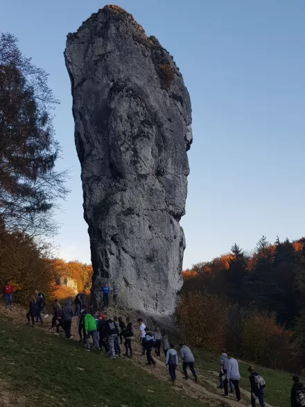 16
