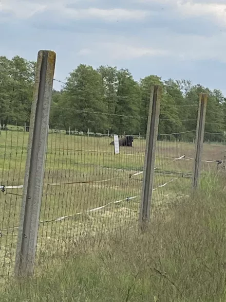 uij3jvx_